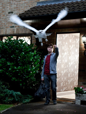 『ハリー・ポッターと死の秘宝 PART1』　-(C) 2010 WARNER BROS.ENTERTAINMENT INC. HARRY POTTER PUBLISHING RIGHTS (C) J.K.R.HARRY POTTER CHARACTERS, NAMES AND RELATED INDICIA ARE TRADEMARKS OF AND (C)WARNER BROS. ENT. ALL RIGHTS RESERVED