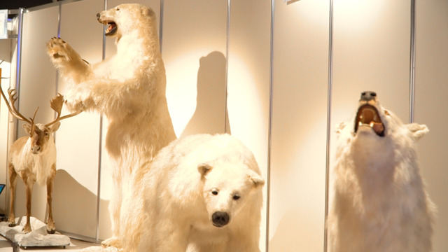 この夏は東京の“南極・北極”でヒンヤリ体験!? 「南極・北極展」