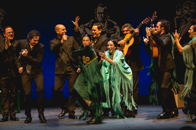 『パッション・フラメンコ』　（C）2016 NADIE ES PERFECTO BLINDSPOT