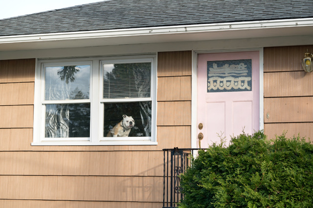 『パターソン』（C）2016 Inkjet Inc. All Rights Reserved