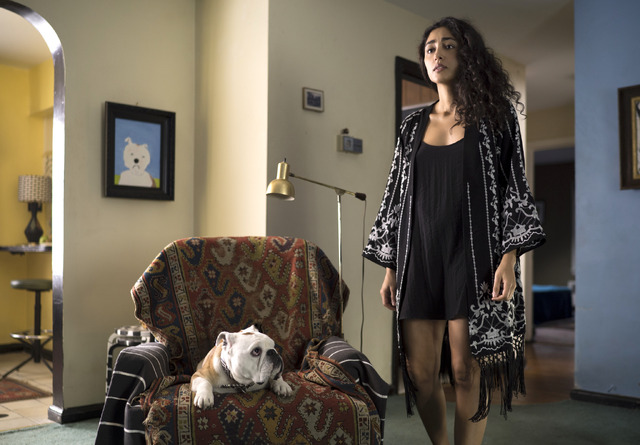 『パターソン』（C）2016 Inkjet Inc. All Rights Reserved