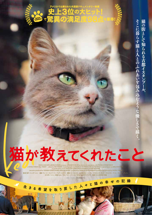 『猫が教えてくれたこと』 (C)2016 Nine Cats LLC