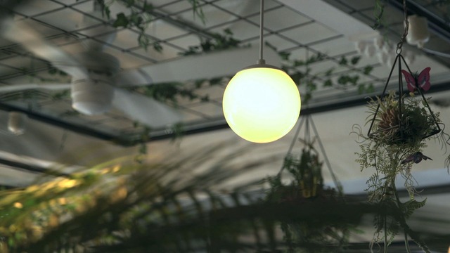 「TERRACE HOUSE ALOHA STATE」第36話（C）フジテレビ／イースト・エンタテインメント