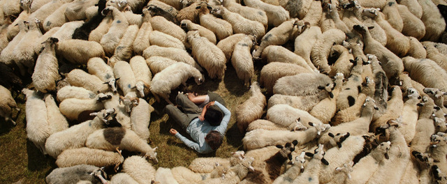 『オン・ザ・ミルキー・ロード』　(C)2016 LOVE AND WAR LLC