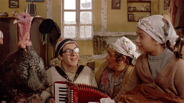 『ジプシーのとき』-(C)      APOLLO