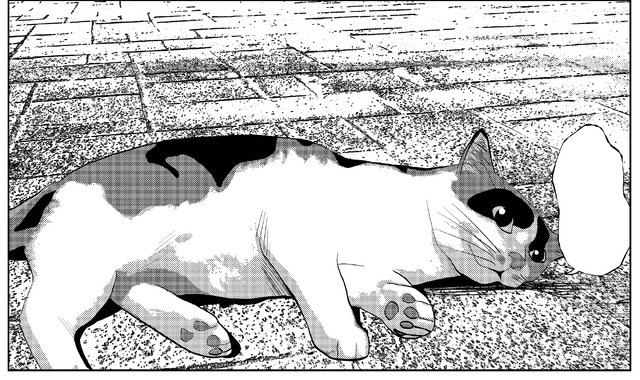 「セトウツミ」-(C)此元和津也(秋田書店)2013」