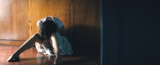 『愛を綴る女』(C)（2016） Les Productions du Tresor - Studiocanal - France 3 Cinema - Lunanime - Paulines Angel - My Unity Production