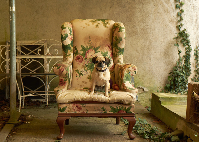 『ブルーム・オブ・イエスタディ』（C）2016 Dor Film-West Produktionsgesellschaft mbH / FOUR MINUTES Filmproduktion GmbH / Dor Filmproduktion GmbH