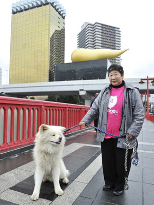 観光名所巡るわさお