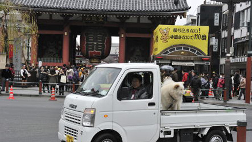 観光名所巡るわさお