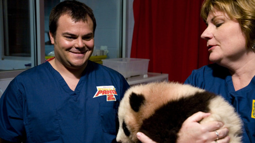 『カンフーパンダ2』パンダの赤ちゃん命名式に出席したジャック・ブラック