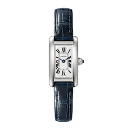 日本限定の“タンクアメリカン” ミニ