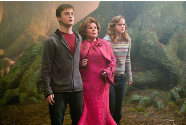 『ハリー・ポッターと不死鳥の騎士団』TM & -(C) 2007 Warner Bros. Ent. , Harry Potter Publishing Rights -(C) J.K.R