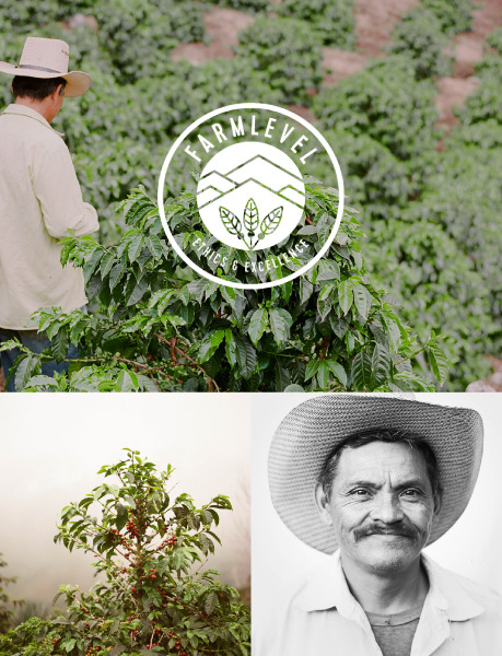 VERVE COFFEE ROASTERS