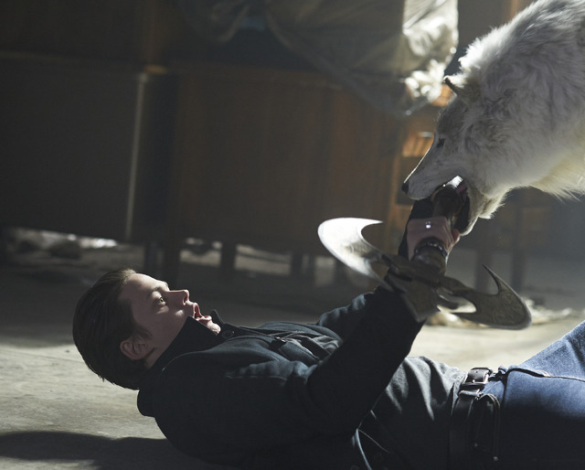 「ヘムロック・グローヴ」ファースト・シーズン　（C）2013 Ouroboros Productions LLC. All Rights Reserved. （C）2018 Warner Bros. Entertainment Inc. All rights reserved.