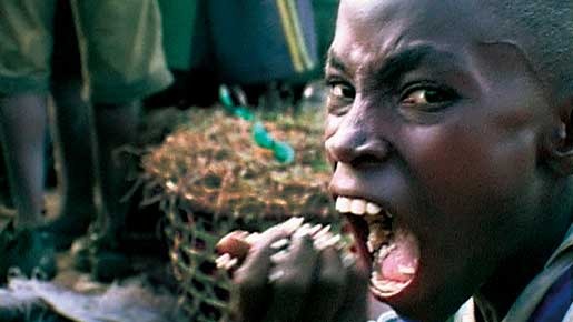 『ダーウィンの悪夢』　メイン