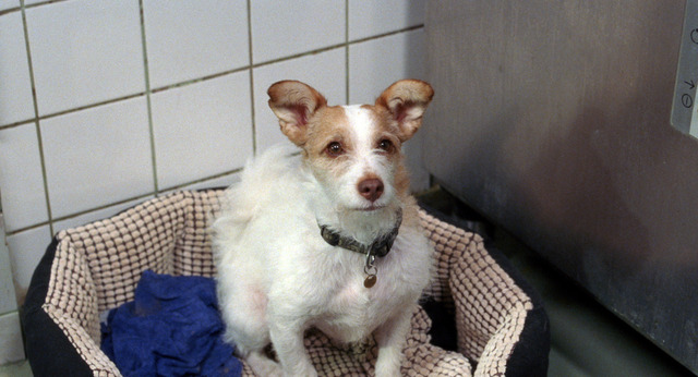 『希望のかなた』（C）SPUTNIK OY, 2017