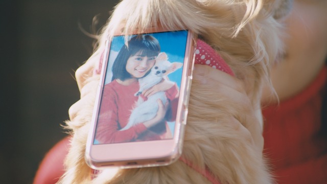 フジカラー年賀状WEB動画「戌年に犬とつくる年賀状」篇