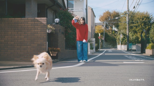 フジカラー年賀状WEB動画「戌年に犬とつくる年賀状」篇