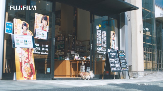 フジカラー年賀状WEB動画「戌年に犬とつくる年賀状」篇