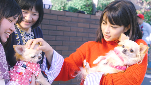 「戌年に犬とつくる年賀状」篇　メイキング