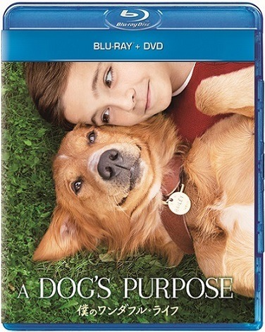 『僕のワンダフル・ライフ』(c) 2016 Universal Studios and Storyteller Distribution Co., LLC. All Rights Reserved.