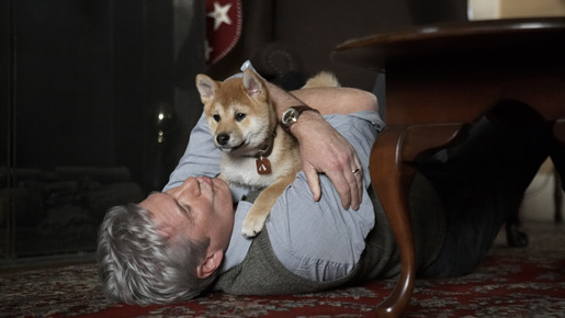 『HACHI 約束の犬』 (C) Hachiko,LLC
