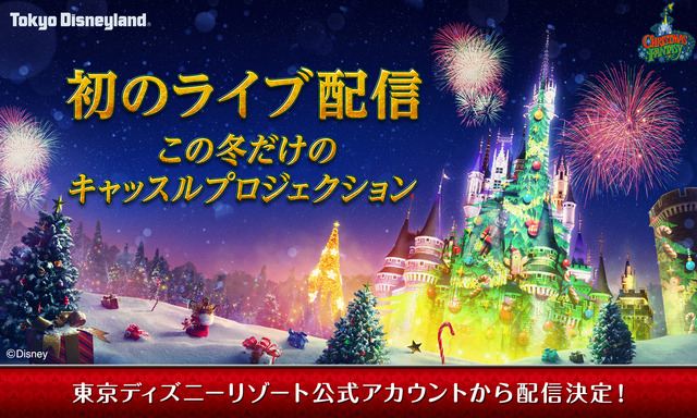 年間SNS配信ランキング発表！ブログ＆インスタで第1位に輝いたものは!?