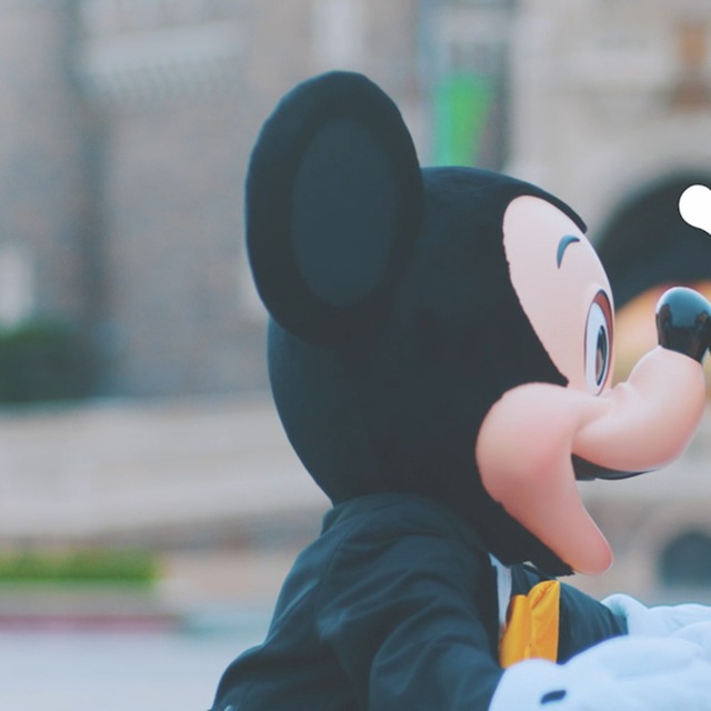 年間SNS配信ランキング発表！ブログ＆インスタで第1位に輝いたものは!?