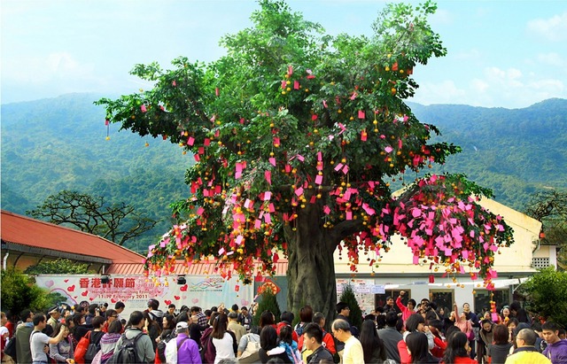 Vibrant Celebrations