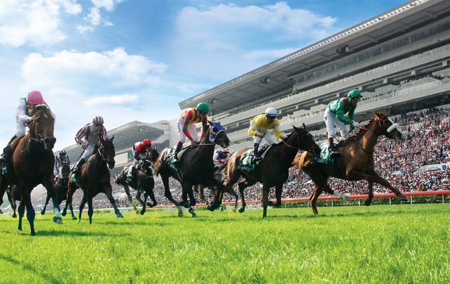 Chinse New Year Raceday