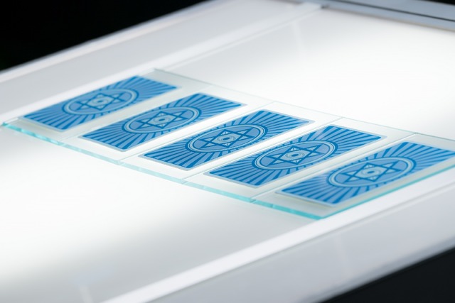 「賭ケグルイ」（C）河本ほむら・尚村透／SQUARE ENIX・ドラマ「賭ケグルイ」製作委員会・MBS　