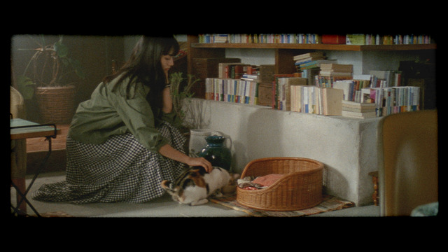 「niko and ...」 であうにあうMOVIE「君とノートとコーヒーと」