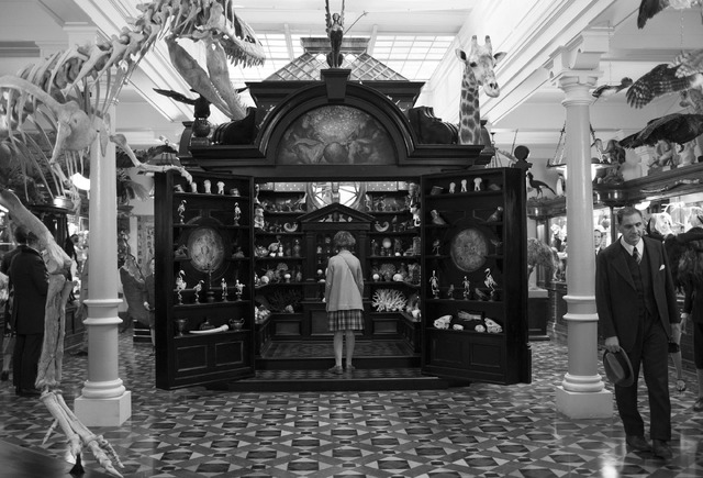 『ワンダーストラック』（C） 2017 AMAZON CONTENT SERVICES LLC