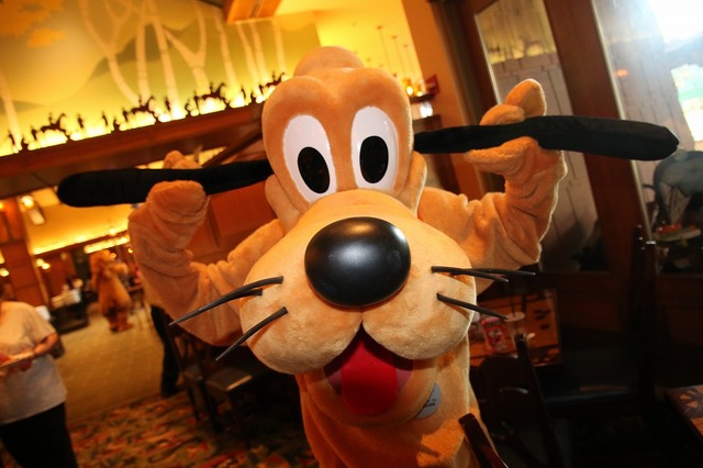 「ストーリーテラー・カフェ」のプルート