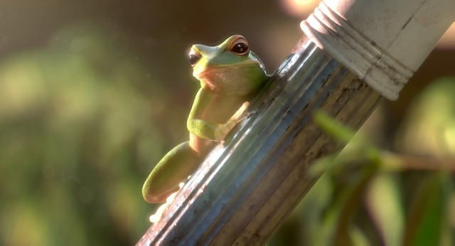 【CGアニメーション部門】『ガーデンパーティー』