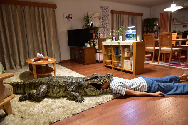 『家に帰ると妻が必ず死んだふりをしています。』 (C)2017「家に帰ると妻が必ず死んだふりをしています。」製作委員会