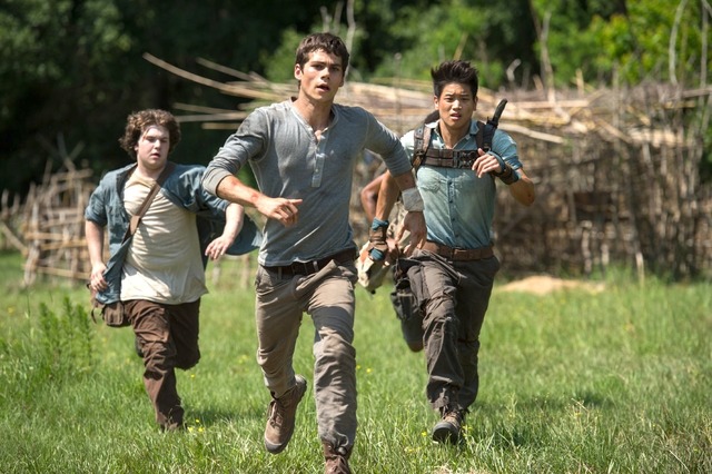 『メイズ・ランナー』　-（C）2014 Twentieth Century Fox Film.