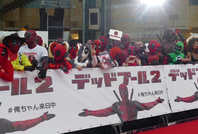 ライアン、絶賛「日本のファンのコスプレが最高だよ」