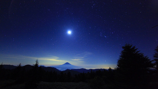 『日本列島　いきものたちの物語』 -(C) 2012映画「日本列島」製作委員会