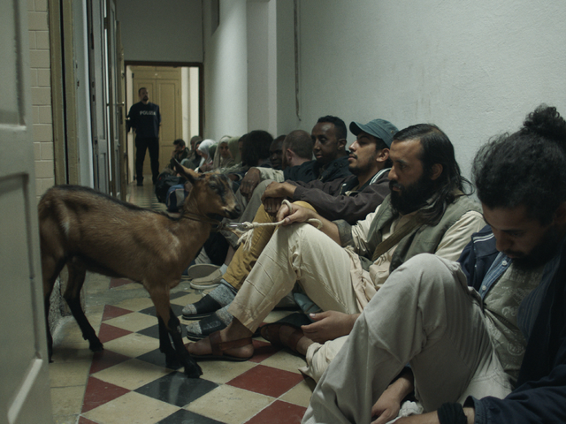 インターナショナル部門優秀賞『不思議なヤギ』