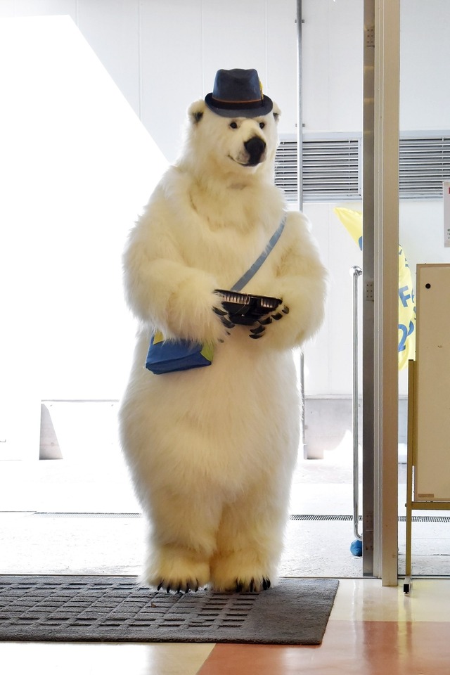 「サバイバル・ウェディング」