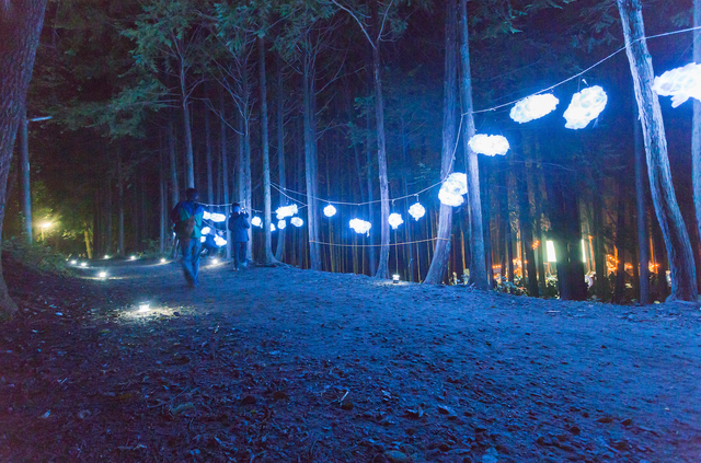 夜空と交差する森の映画祭