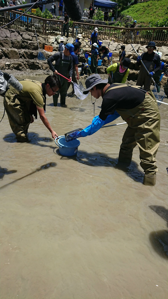 「緊急SOS！池の水ぜんぶ抜く大作戦」　（C）テレビ東京