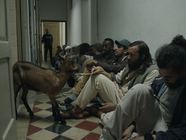 『不思議なヤギ』