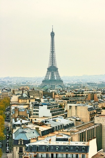 【MOVIEブログ】Cinemage：エクスピレ（前）