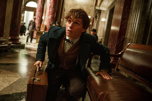 『ファンタスティック・ビーストと魔法使いの旅』(C) 2016 Warner Bros. Ent. All Rights Reserved. Harry Potter and Fantastic Beasts Publishing Rights (C) JKR.