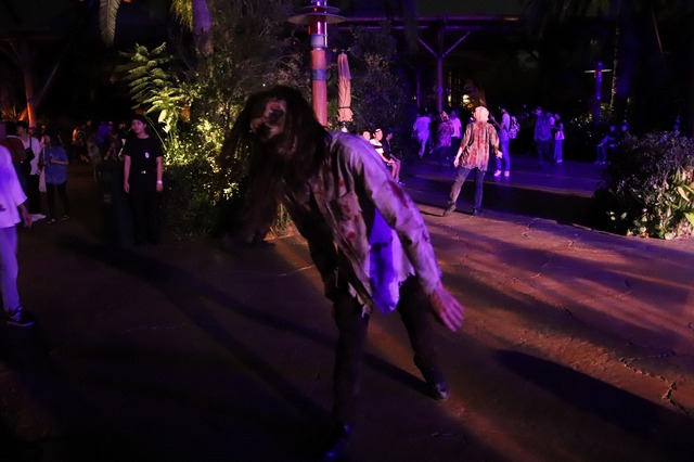 取材協力：ユニバーサル・スタジオ・ジャパン TM & (C) Universal Studios.All rights reserved.