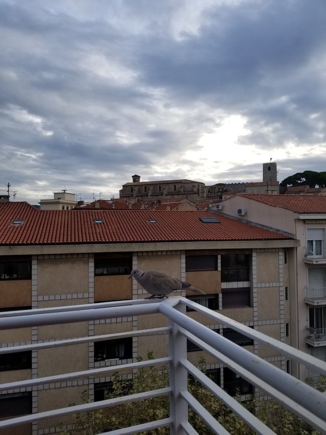 滞在していたアパートからの眺め