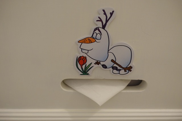 取材協力：香港ディズニーランド・リゾート